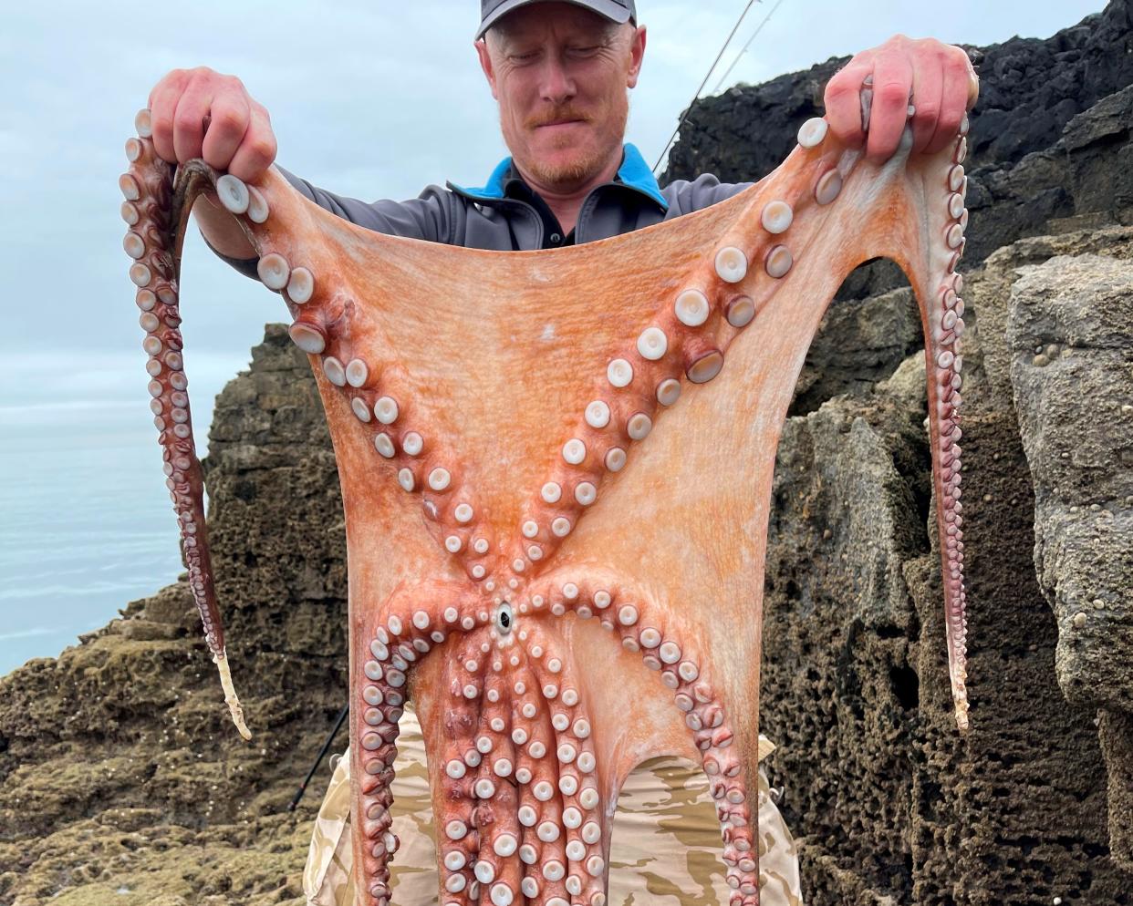 Ziggy Austin with the 7ft octopus at Hopes Nose near Torquay, Devon. (SWNS)