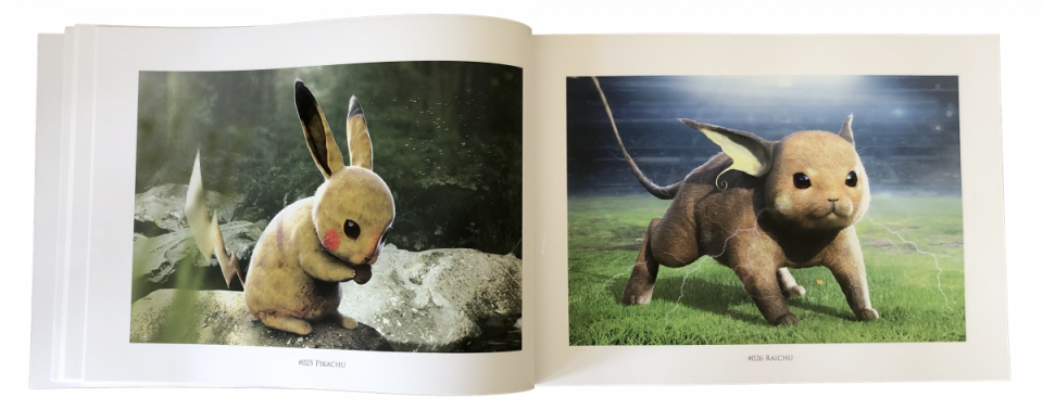 Realistic Pokemon Art Book pages, Pikachu and Raichu