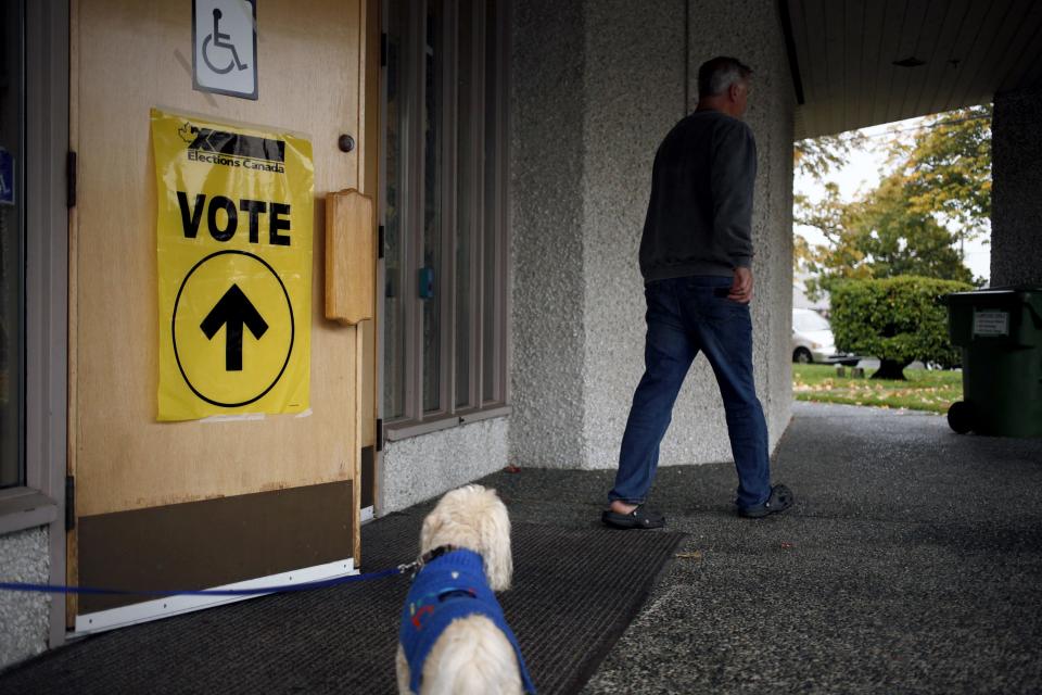 Dog waits for owner at the polls