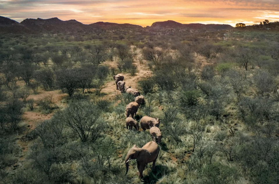 Best drone photos of 2018