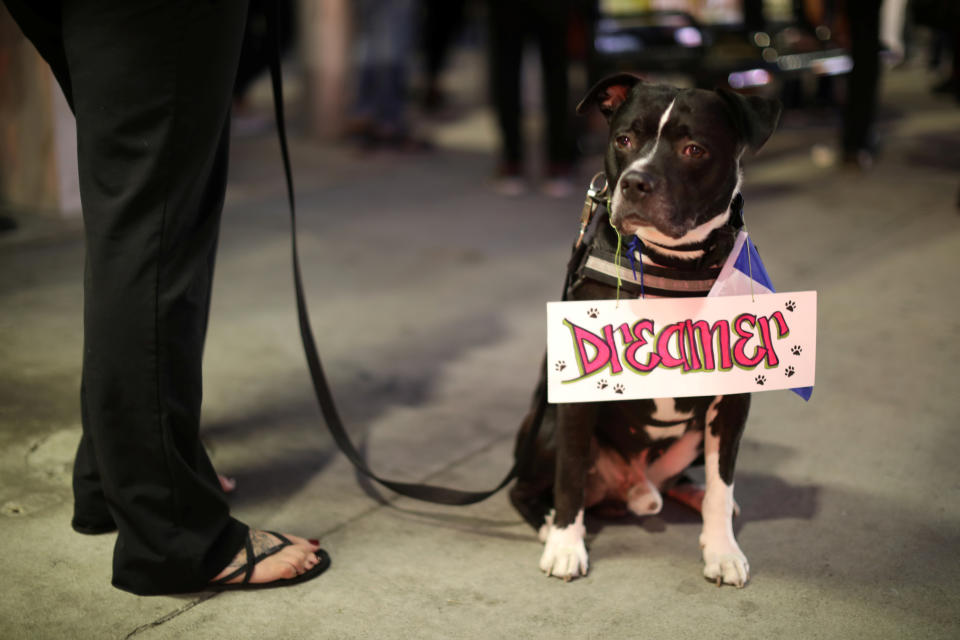 <p>A woman with a dog protests to call for a new DREAM Act to replace DACA in Los Angeles, Calif., Jan. 17, 2018. (Photo: Lucy Nicholson/Reuters) </p>