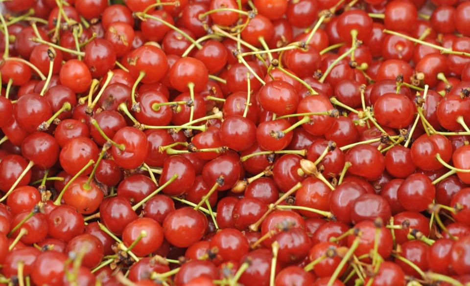 Montmorency Cherries