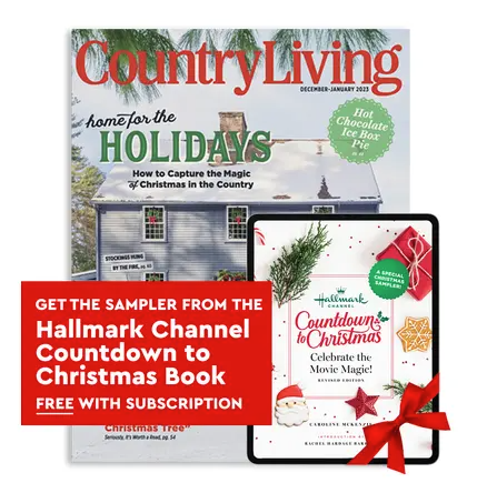 <p><a href="https://shop.countryliving.com/country-living-magazine.html" rel="nofollow noopener" target="_blank" data-ylk="slk:Shop Now;elm:context_link;itc:0;sec:content-canvas" class="link ">Shop Now</a></p><p>Country Living Subscription</p><p>$14.00</p><p>countryliving.com</p><span class="copyright">Country Living</span>