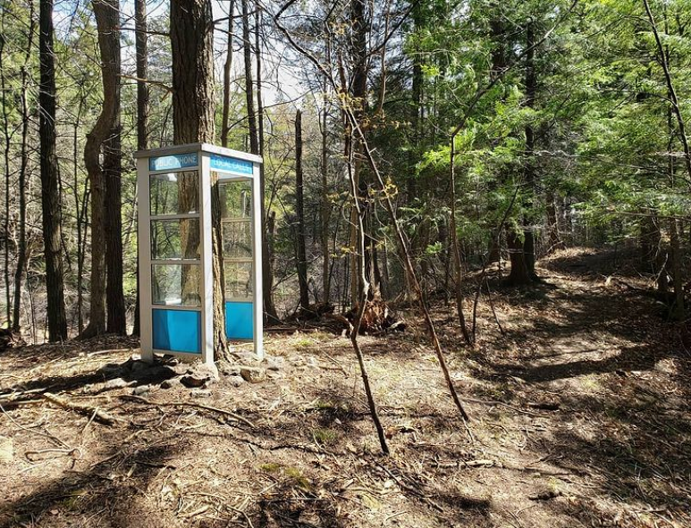 Canadian artist Mike Salisbury's "Local Calls" is located in a forest near Guelph, his hometown in Ontario. Salisbury was inspired by old farm equipment and vehicles he saw being reclaimed by nature while hiking the Bruce Trail in Canada. Salisbury created a similar sculpture titled, "Call NOW!" that is featured in Jubilee Park in downtown Springfield. The sculpture is a part of the 2022-23 Sculpture Walk Springfield season. Salisbury is the first international artist to participate in Sculpture Walk. This is also Salisbury's first international exhibition.