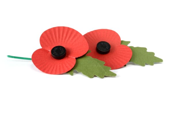 two remembrance poppies against ...