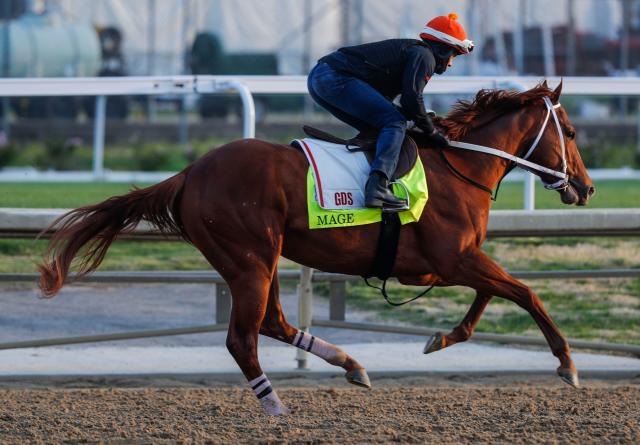Mage works out Wednesday April 25, 2023 at Churchill Downs in Louisville, Ky. Trainer is Gustavo Delgado.