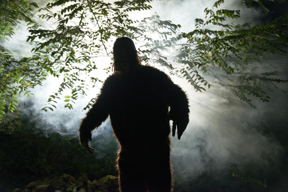 Le yéti ne serait… qu’un ours !