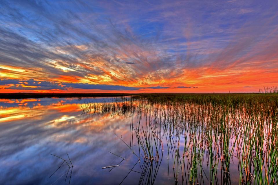 Everglade National Park