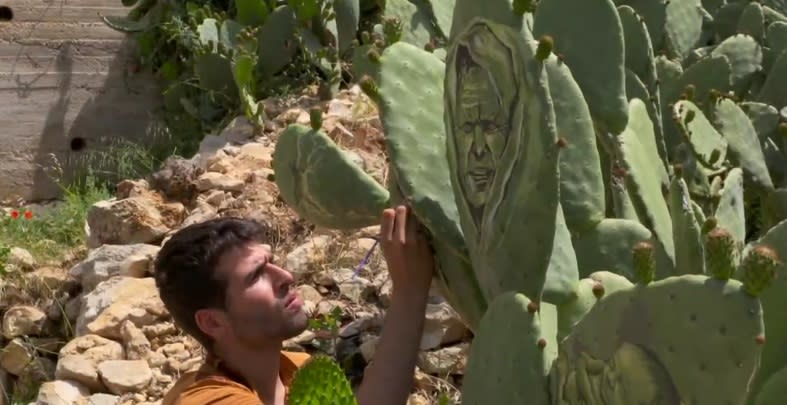 Alrededor de su casa, ahora que descubrió que con estas plantas puede hacer su obra, el artista plantó varios cactus que espera que crezcan y le permitan seguir trabajando en ellos. 