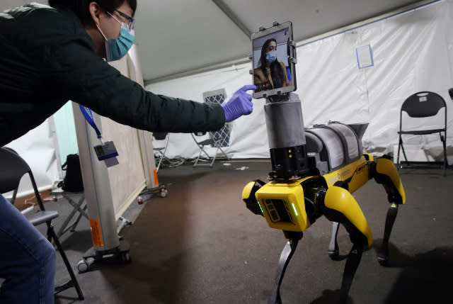 BOSTON, MA - APRIL 23: Research Scientist Hen-Wei Huang, left, talks about Spot the Robot, during a demonstration at Brigham And Women's Hospital in Boston on April 22, 2020. The demonstration featured a new mobile telemedicine platform, Spot the Robot, designed in collaboration with Brigham researchers. Spot, a Boston Dynamics robot, reduces health care worker exposure to potential Covid-19 patients and helps conserve the use of PPE. The demonstration included the robots iPad feature which visually links a patient looking at the robot with a clinician who may be steps away for easy and safe communication. Spot the Robot is currently in clinical use in the Brighams Emergency Department. (Photo by Craig F. Walker/The Boston Globe via Getty Images)