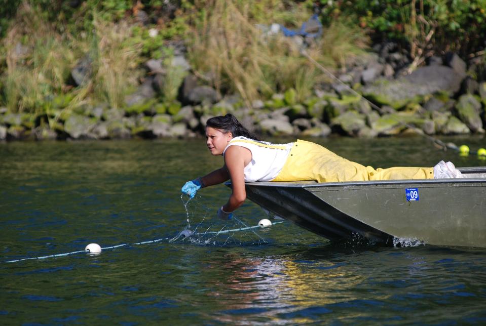 Yurok Citizen Tasheena Natt works a salmon fishing net in the Klamath estuary as part of the Tribe's tightly regulated harvest.