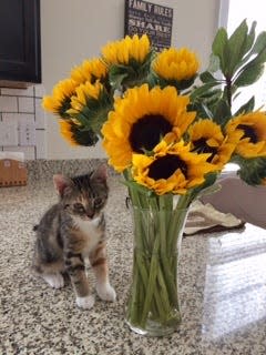 Beautiful flowers for an adorable Autumn.