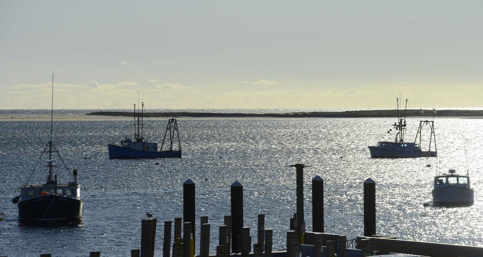 The Cape Cod Commercial Fishermen’s Alliance, based in Chatham, is continuing to work on efforts to push midwater trawlers 20 miles out from Cape Cod shores. Fishing vessels faced into north winds on their moorings off the Chatham fish pier on a blustery mid-October morning.