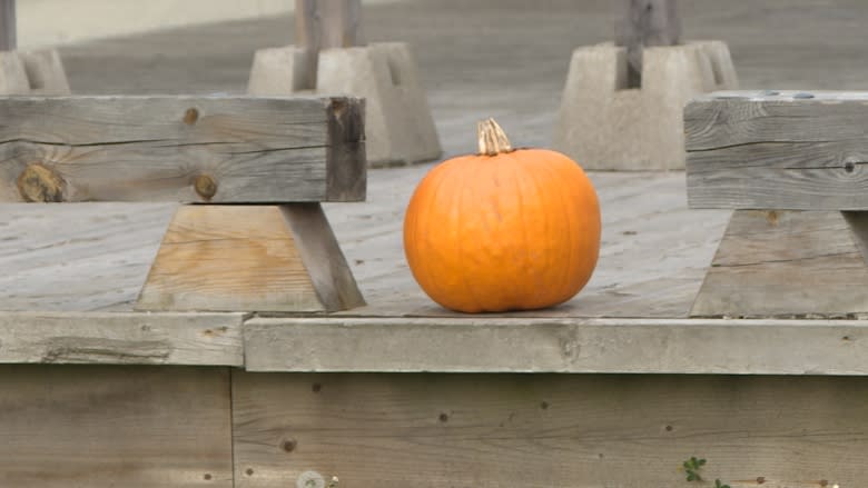 Bathurst relaxes ban on trick-or-treating for some teens, rolls back curfew