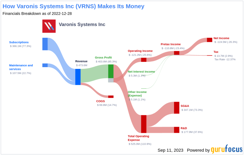What's Driving Varonis Systems Inc's Surprising 24% Stock Rally?