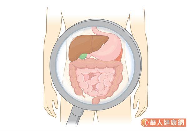 探索消化道的「黑色大陸」　醫師帶您認識小腸鏡檢查