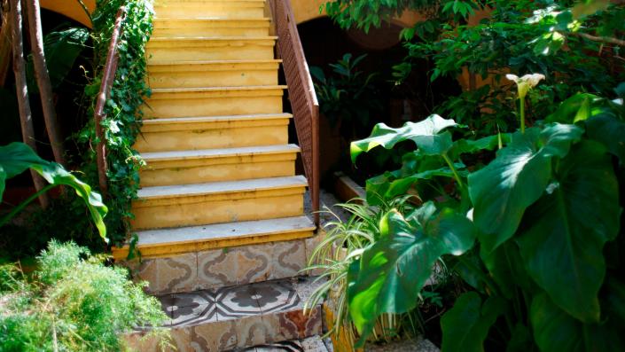 Pattern play on a tile staircase accentuates the flora.