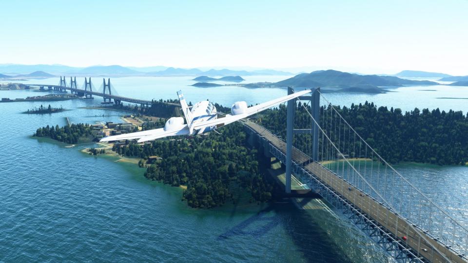 Microsoft Flight Simulator