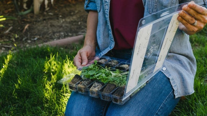 It's easy to grow your own garden with this unique subscription.