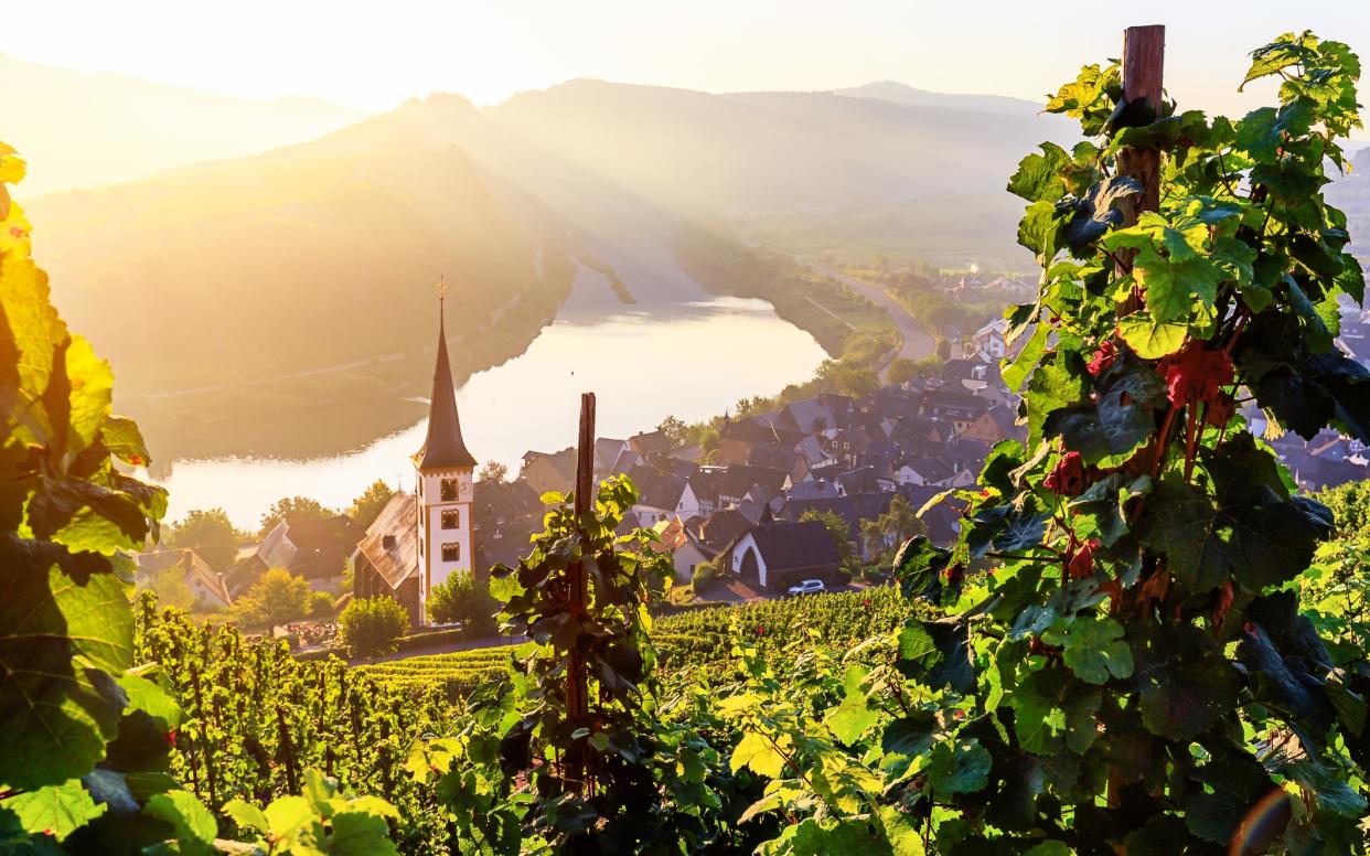 The Moselle River and its surrounding vineyards have a rich history - rpeters86