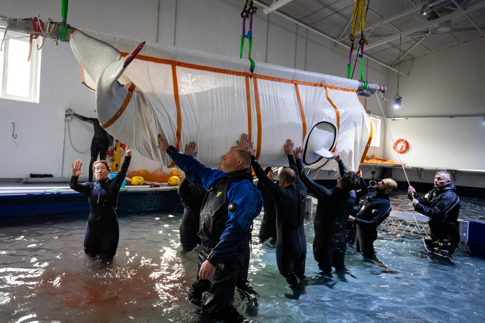 Open-water sanctuary for Beluga Whales