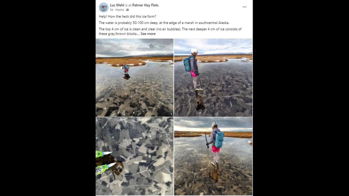 The water was 20 to 40 inches deep at the edge of a marsh in south central Alaska.