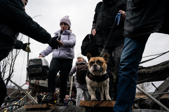 People with their pets flee from Irpin, Ukraine.