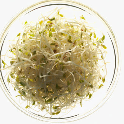 Food for your breasts: broccoli sprouts