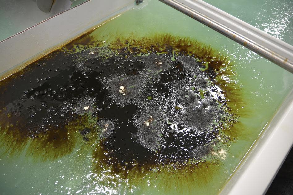 In this Nov. 17, 2016 photo, released by the Pacific Northwest National Laboratory, PNNL, oil spreads on top of water with a slushy crust. The small ice chunks bob around and push oil below the surface, which makes cleaning up oil spills in the Arctic a challenge during a demonstration of sawdust oil recovery material research at the PNNL in Richland, Wash. (Pacific Northwest National Laboratory via AP)