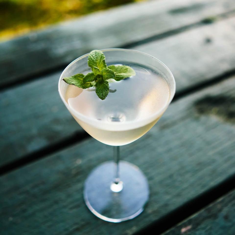 the botanist elderflower mint martini