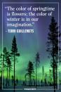 <p>"The color of springtime is flowers; the color of winter is in our imagination." </p><p><em>- Terri Guillemets</em><br></p>