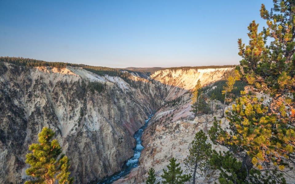 yellowstone - Getty