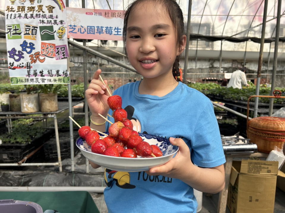 ▲新鮮的草莓採下後立即做成冰糖葫蘆，這種大小朋友都愛的DIY是業者巧思營造出的現代農場經營模式。（圖／記者周厚賢攝）