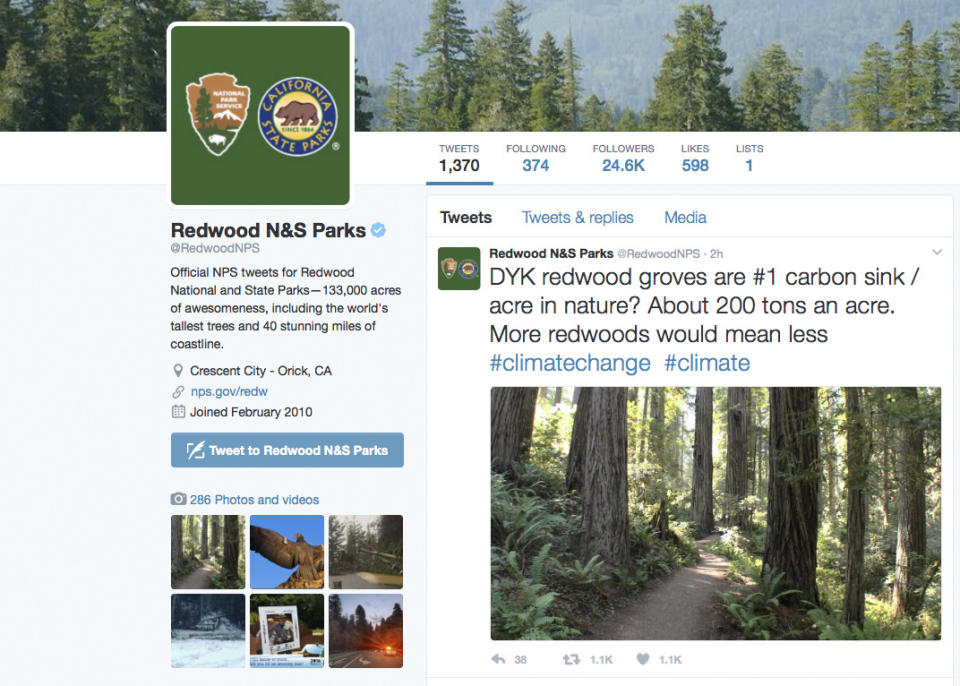 This photo shows a Twitter post from the National Park Service's Redwoods National Park account, noting that redwood groves are nature's No. 1 carbon sink, which capture greenhouse gas emissions that contribute to global warming Legal experts say the Justice Department could prosecute tweets from federal agency accounts by unauthorized users under federal hacking laws. Some say that even employees authorized to use official agency Twitter accounts could face legal jeopardy posting messages they weren’t supposed to write. (National Park Service via AP)