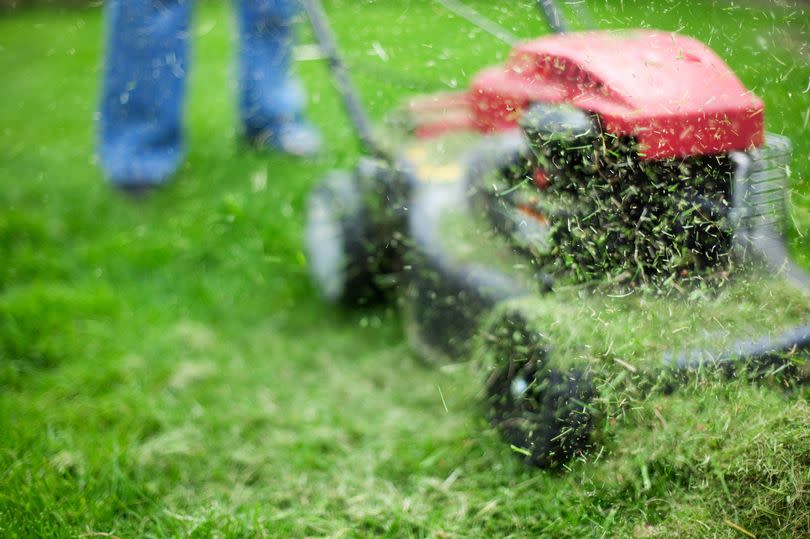 Low image of someone cutting lawn.