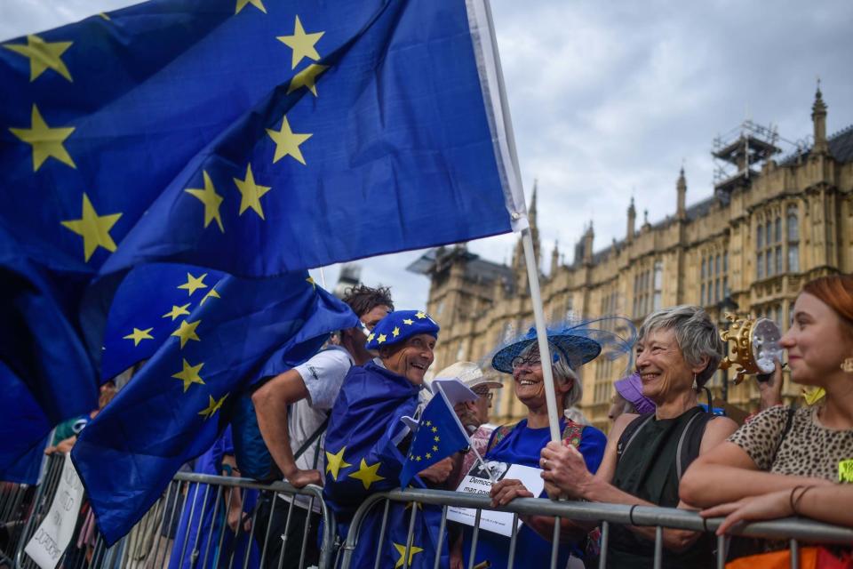 Pro-EU supporters protest outside the Houses of Parliament (Getty Images)