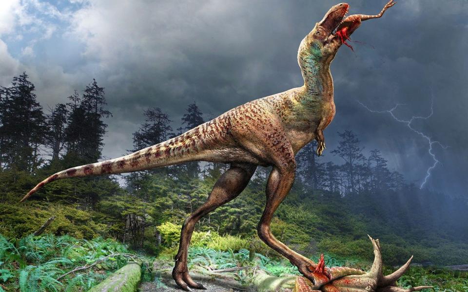 A juvenile Gorgosaurus feeds on its prey