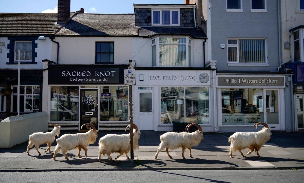 <span>Photograph: Christopher Furlong/Getty Images</span>