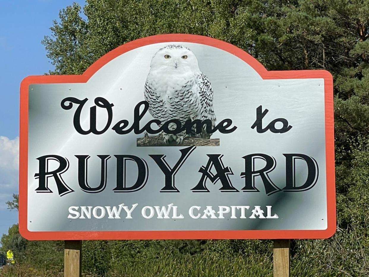 A newly installed sign in Rudyard celebrates the township being recognized as the snowy owl capital of Michigan.