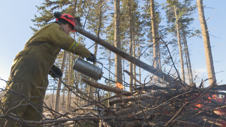 P.E.I. park crews fight fire risk with fire