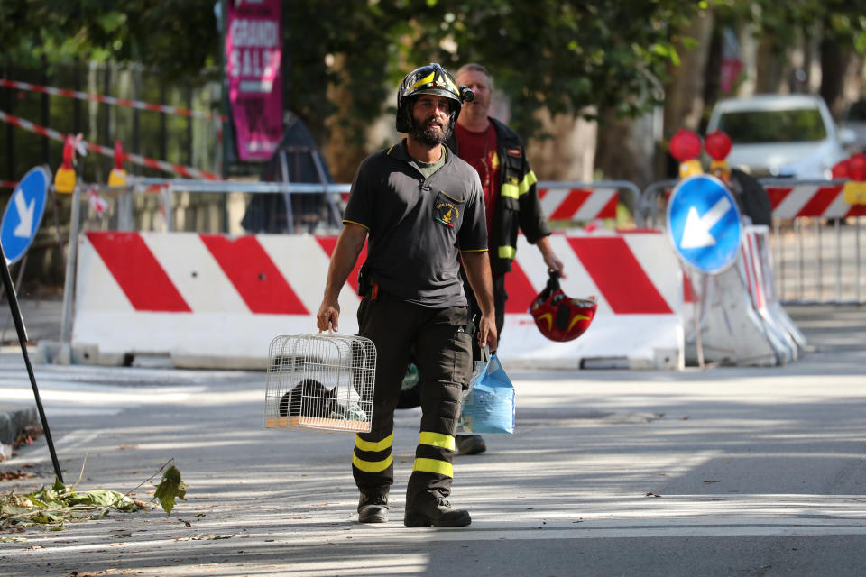 A firefighter carries a cat recovered from the houses