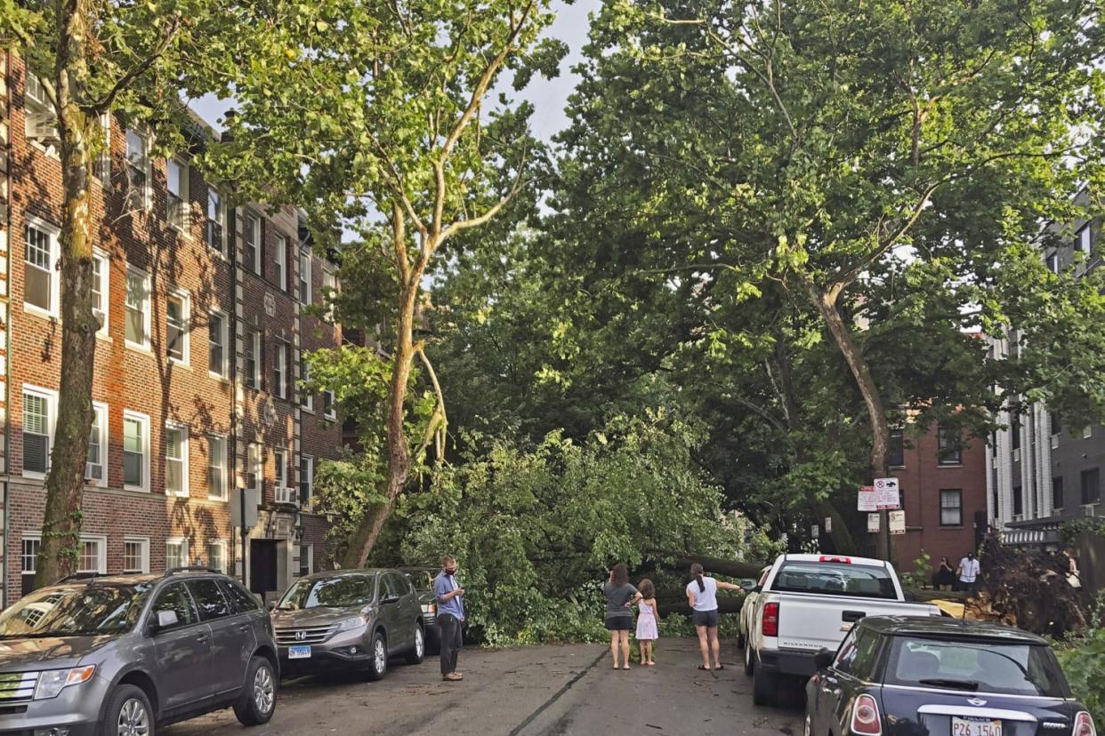 A downed tree blocks a roadway in Chicago's Lakeview neighborhood on Monday, Aug. 10, 2020. A rare storm packing 100 mph winds and with power similar to an inland hurricane swept across the Midwest on Monday, blowing over trees, flipping vehicles, causing widespread property damage, and leaving hundreds of thousands without power as it moved through Chicago and into Indiana and Michigan. (Tom Berman / AP)