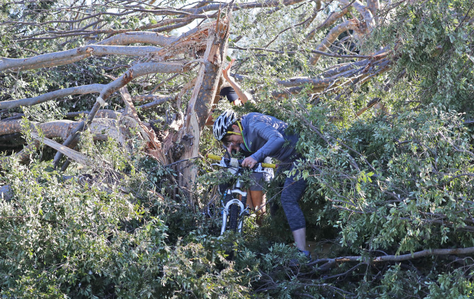 A bicyclist tries to make it past a tornado-downed tree in Dallas, Monday, Oct. 21, 2019. The National Weather Service says nine tornadoes struck the Dallas area during Sunday's stretch of severe storms in Texas. (AP Photo/LM Otero)