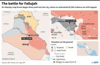 Iraq: the battle for Fallujah