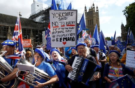 Anti-Brexit protesters march outside the Houses of the Parliament in London
