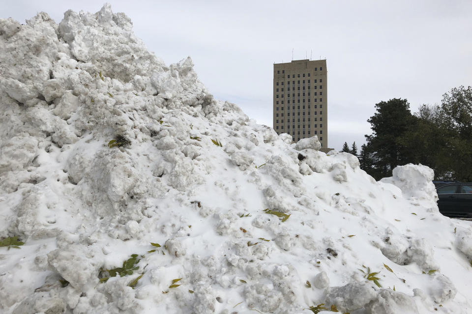 Snow is piled high in front of the state Capitol in Bismarck, N.D. on Friday Oct. 11, 2019. North Dakota Gov. Doug Burgum activated the state's emergency plan due to what he called a crippling snowstorm that closed major highways and had farmers and ranchers bracing for huge crop and livestock losses. (AP Photo/James MacPherson)