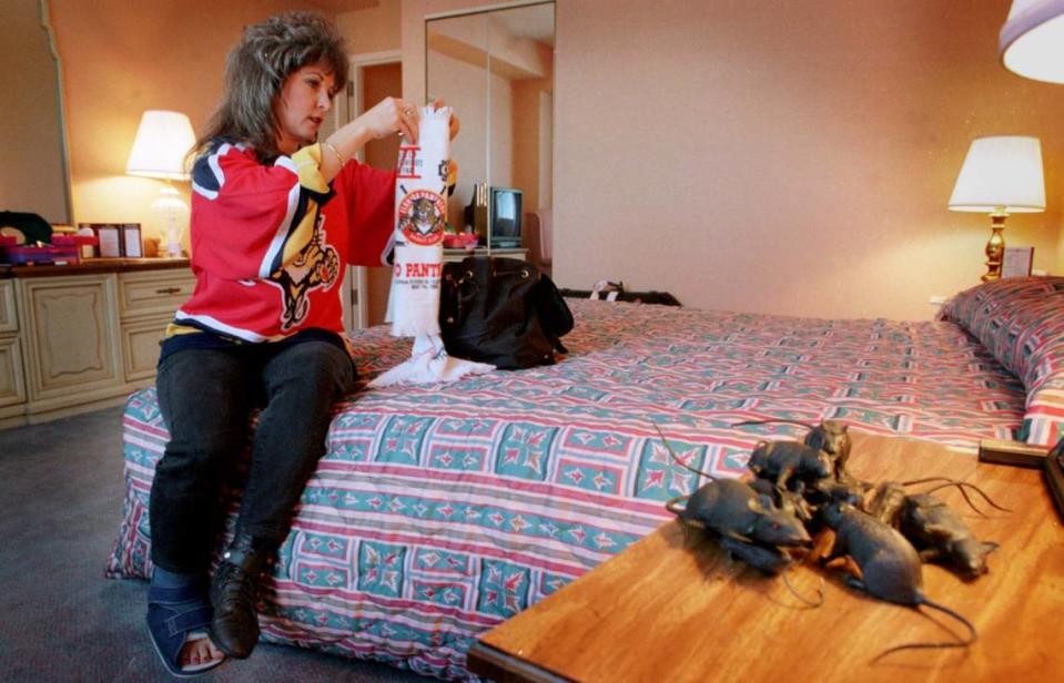 Debbie Parent, from MIAMI, packs up her Panther towels and rats in preparation for the Stanley Cup Finals game 2 between the Colorado Avalanche and the Florida Panthers to be held at The McNichols Arena in Denver. This photo was taken in Debbie Parent’s room at the Embassy Suites Hotel in downtown Denver.