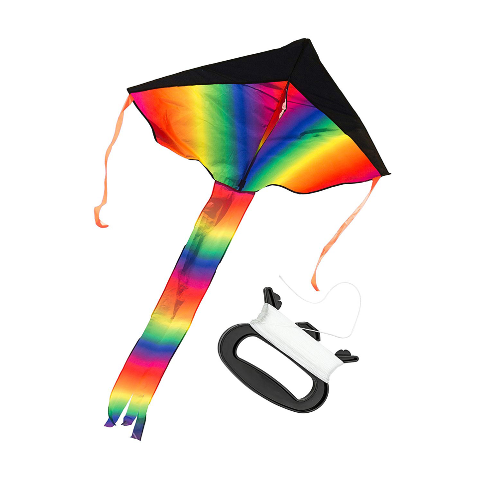 26) Large Rainbow Delta Kite