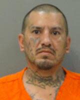 Albert Molina mug shot