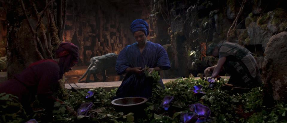 Black Panther herb garden